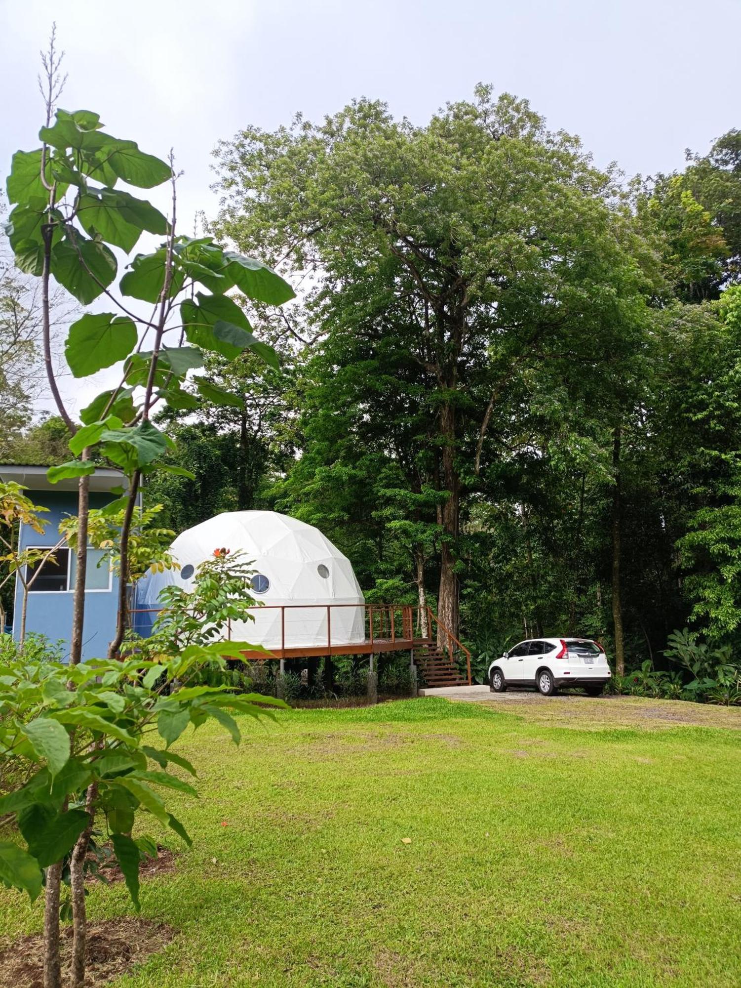 Bitzu Dome-Bijagua Riverside Glamping מראה חיצוני תמונה