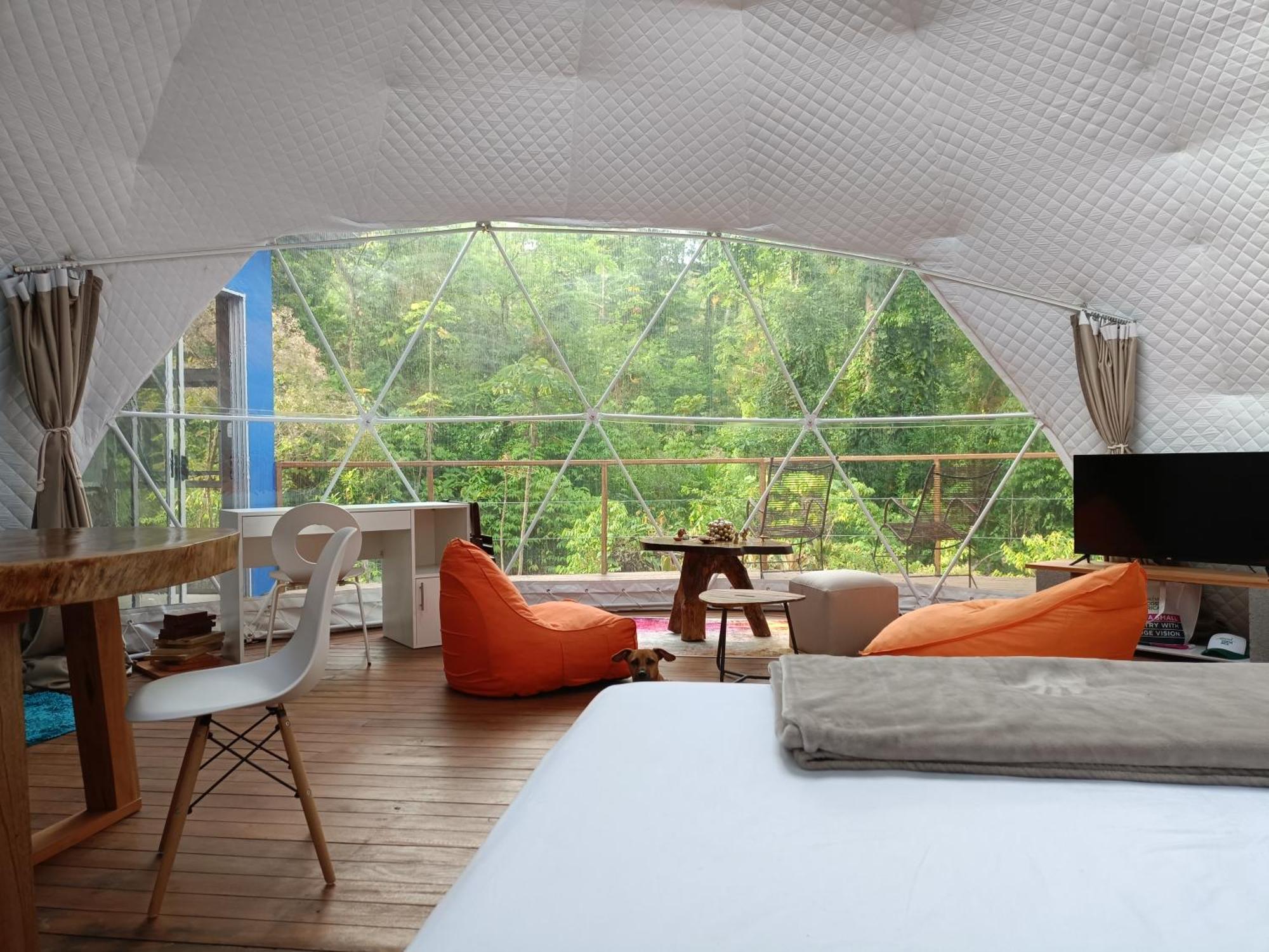 Bitzu Dome-Bijagua Riverside Glamping מראה חיצוני תמונה